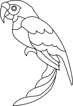 parrot