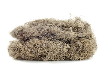 pile of dried spanish moss