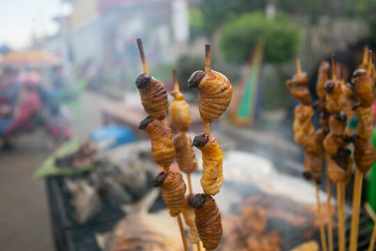 Suri, or chontacuro, edible larva of the Amazon beetle known as the Picudo Negro (Rhynchophorus palmarum)