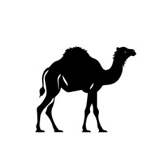 camel silhouette illustration 