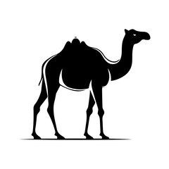 camel silhouette illustration 