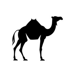 camel silhouette illustration 