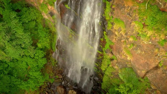 Morans Falls in Lamington National Park on the Lamington Plateau of the McPherson Range on the Queensland New South Wales border in Australia, natural rainforest view to high waterfalls.