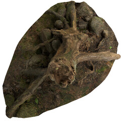 3d illustration of dry tree stump isolated on transparent background top view