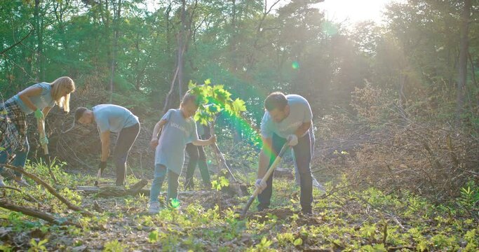 Volunteering, cute girl walks with plant for gardening and man in forest with trees in nature environment. Family with volunteer team planting for growth, ecology and sustainability for community.
