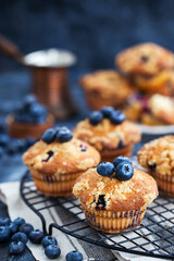 Homemade delicious blueberry and streusel muffins, decorated with fresh berries