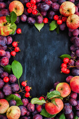 Frame of fresh ripe autumn plums and apples on dark background, top view