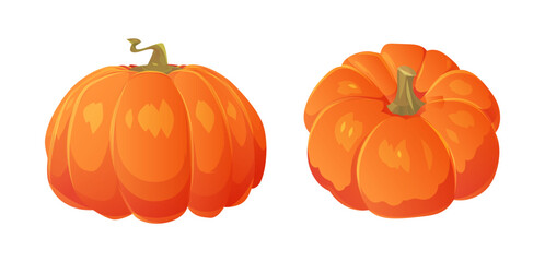 Beautiful vector set of orange pumpkins isolated on a white background. - 621574626