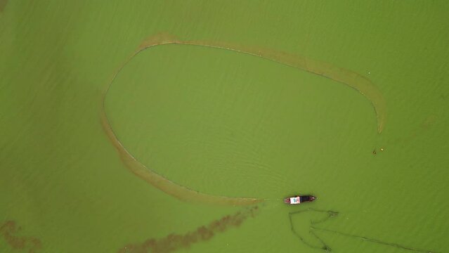 Aerial view of Ben Nom fishing village, a brilliant, fresh, green image of the green algae season on Tri An lake, with many traditional fishing boats anchored.