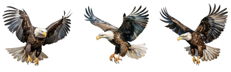Fototapeta premium set of american Bald Eagle isolated on transparent background,png, Generative AI.