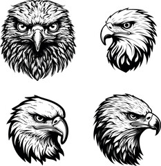 Eagle hawk head black and white svg vector line art