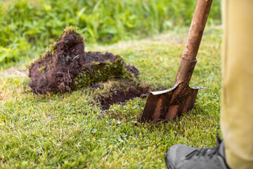 A man digs a hole in the ground with a shovel for planting. Landscaping of the territory. Caring for the environment. Planting plants. Gardening.