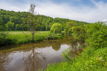 Fototapeta na wymiar Natural landscape at the river Altmuehl