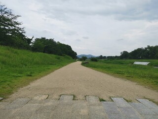 北大路　賀茂川　道