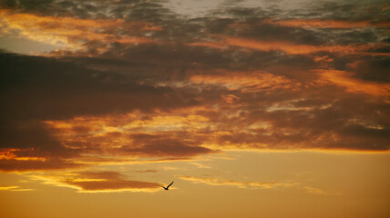 sunset in the sky