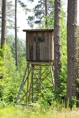 Hunting pulpit hidden in the forest
