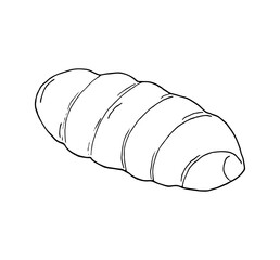 Hand-drawn simple rolled bun isolated vector illustration on white