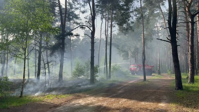 Fire firefighters forest atastrophe fireman truck smoke