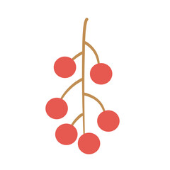 Illustration of Christmas Berries