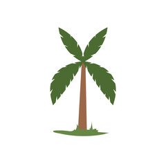 Coconut tree in flat design style, palm tree vector illustration