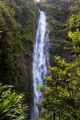 Obraz premium Haleakala national park at the end of the Pipiwai trail