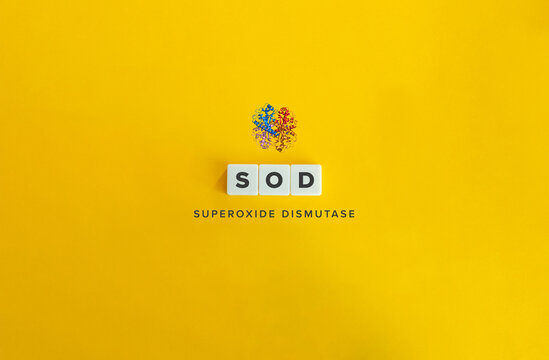 Superoxide dismutase (SOD) Antioxidant Protein.