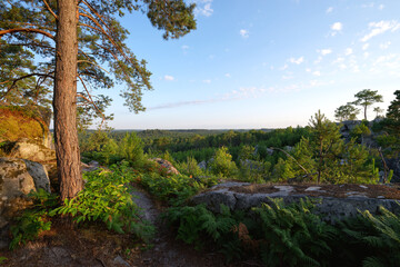 Point of view of the Trois pignons forest  on the Cailleau rock; Ile-De-France region