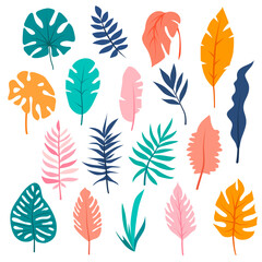 Set of hand drawn tropical leaves. Floral foliage, palm tree branch, jungle leaves