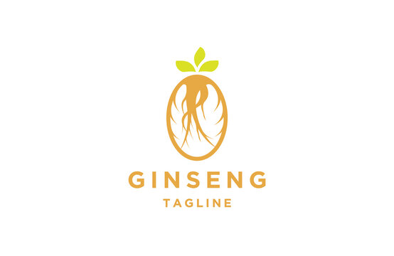 Ginseng logo icon design template flat vector