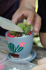 Gardening cactus in a pot on wooden table