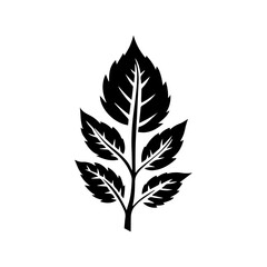 leaf silhouette illustration 