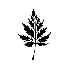 leaf silhouette illustration 