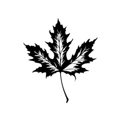 leaf silhouette illustration 