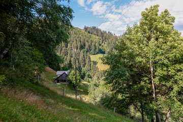 alph&uuml;tte s&auml;ub&auml;rgkn&uuml;beli emmental schweiz