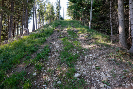 steiler naturweg emmental lush&uuml;tte waldweg