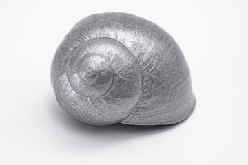 Silberschnecke