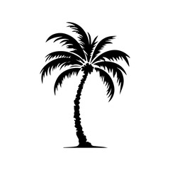 palm tree silhouette illustration 