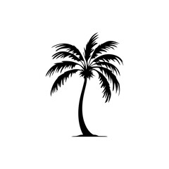 palm tree silhouette illustration 