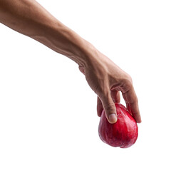 hand holding Malay apple fruit isolated on transparent background