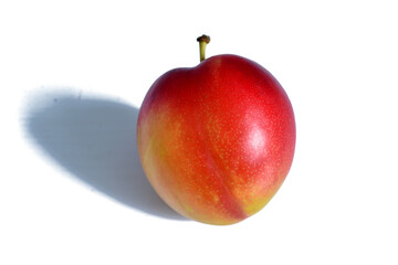 Ripe pink plum.