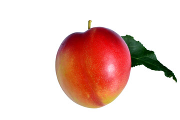 Ripe plum of pink color with a green leaf.