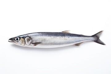 raw sardine isolated on solid white background, created by Generative AI