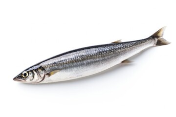 Fototapeta premium raw sardine isolated on solid white background, created by Generative AI