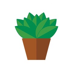Popular indoor succulent for interior decor of home or office. Hygge style, scandinavian interior,handdrawn clipart