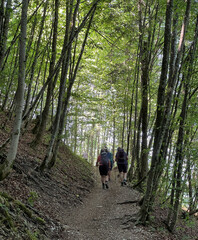 Drei Wanderer von hinten auf dem Schmugglerweg zwischen Kössen und Ettenhausen im lichten...