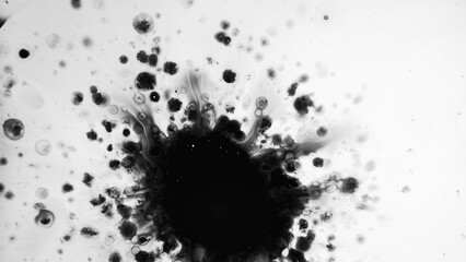 Ink stain. Dirty blot. Black fluid splash spreading in water liquid drops paint forming wet effect on white free space background.
