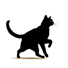  a black cat walking across a white background with a caption in the middle of the image that reads, the cat is a black color.  generative ai