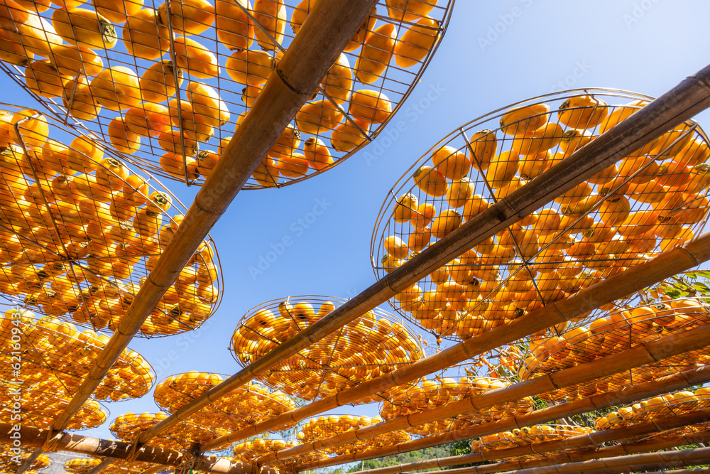 Poster Dry Persimmon fruit production under sunshine in factory