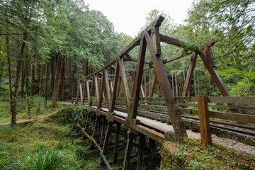 Fototapeta na wymiar Shuishan Trail at Alishan Forest Recreation Area in Chiayi of Taiwan