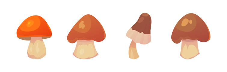 Beautiful vector mushrooms. Forest mushrooms grebe, white, boletus, boletus. - 621609636